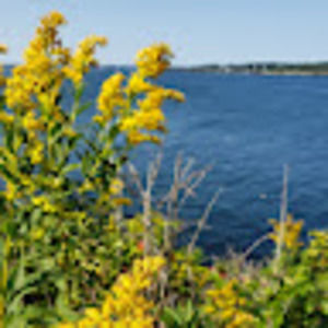 Meet your Posher, Chet